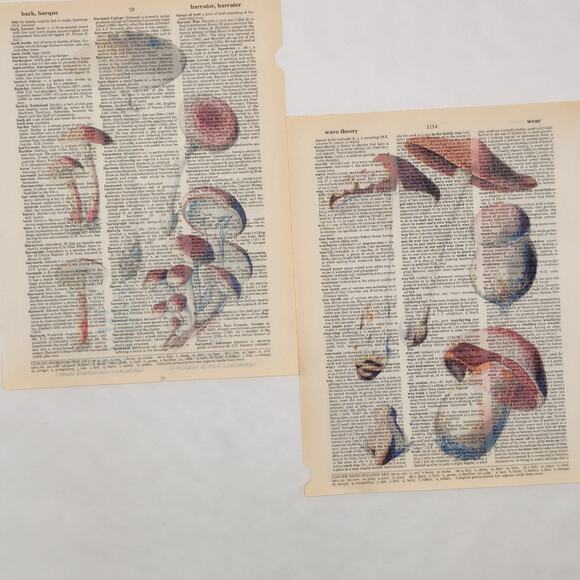 Mushroom Dictionary Prints 2, Colorful Mushroom Prints, Book Page Prints - Picture 2 of 6